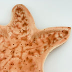 Grande coupelle étoile de mer en grès blanc avec émail rose poudré pyrité, vue détail en macro.