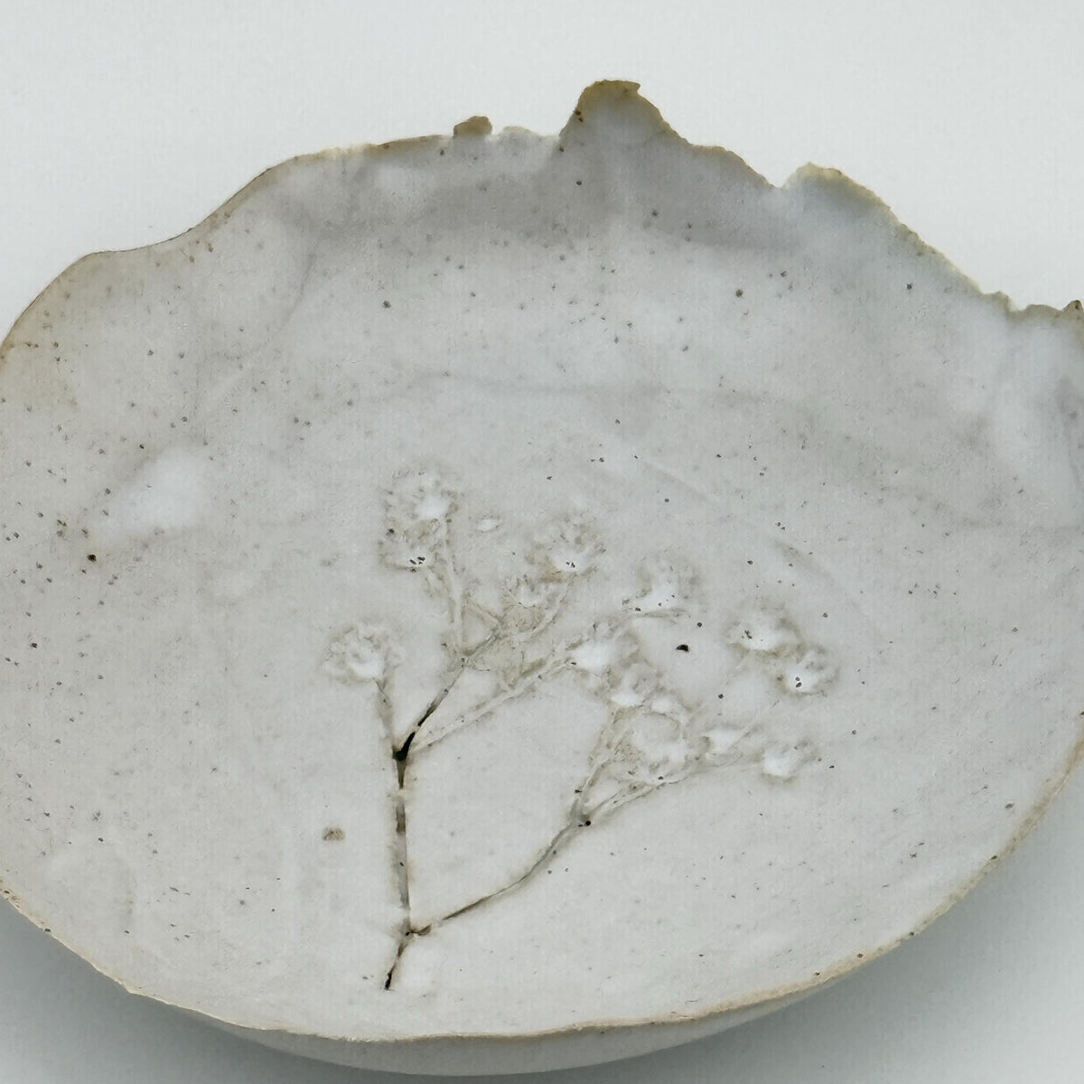 Coupelle blanche en grès et sable de Sardaigne avec impression de gypsophile, faite main par Terres.me