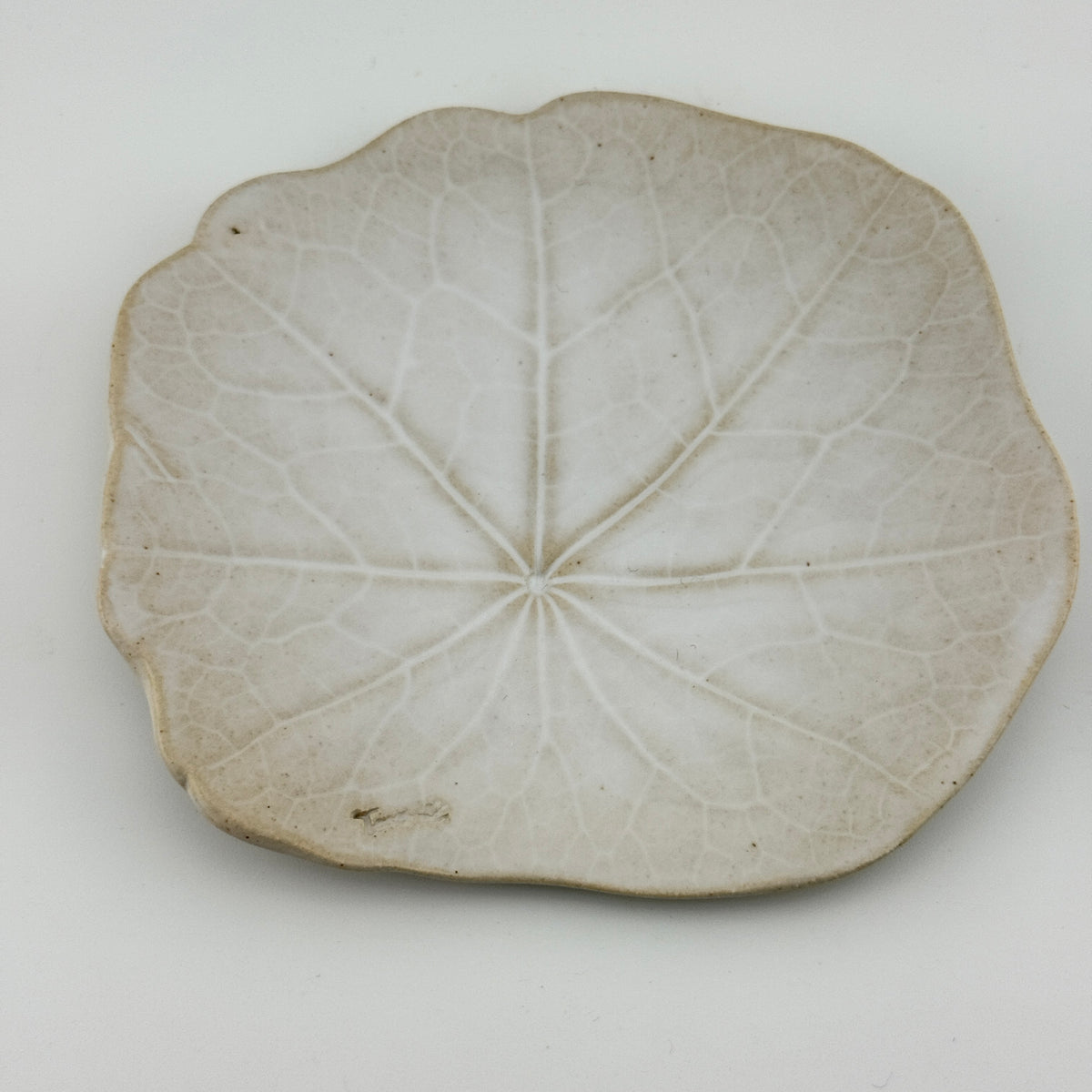 Grand modèle de face d'une coupelle feuille de capucine en grès blanc, fait main par Terresme. 