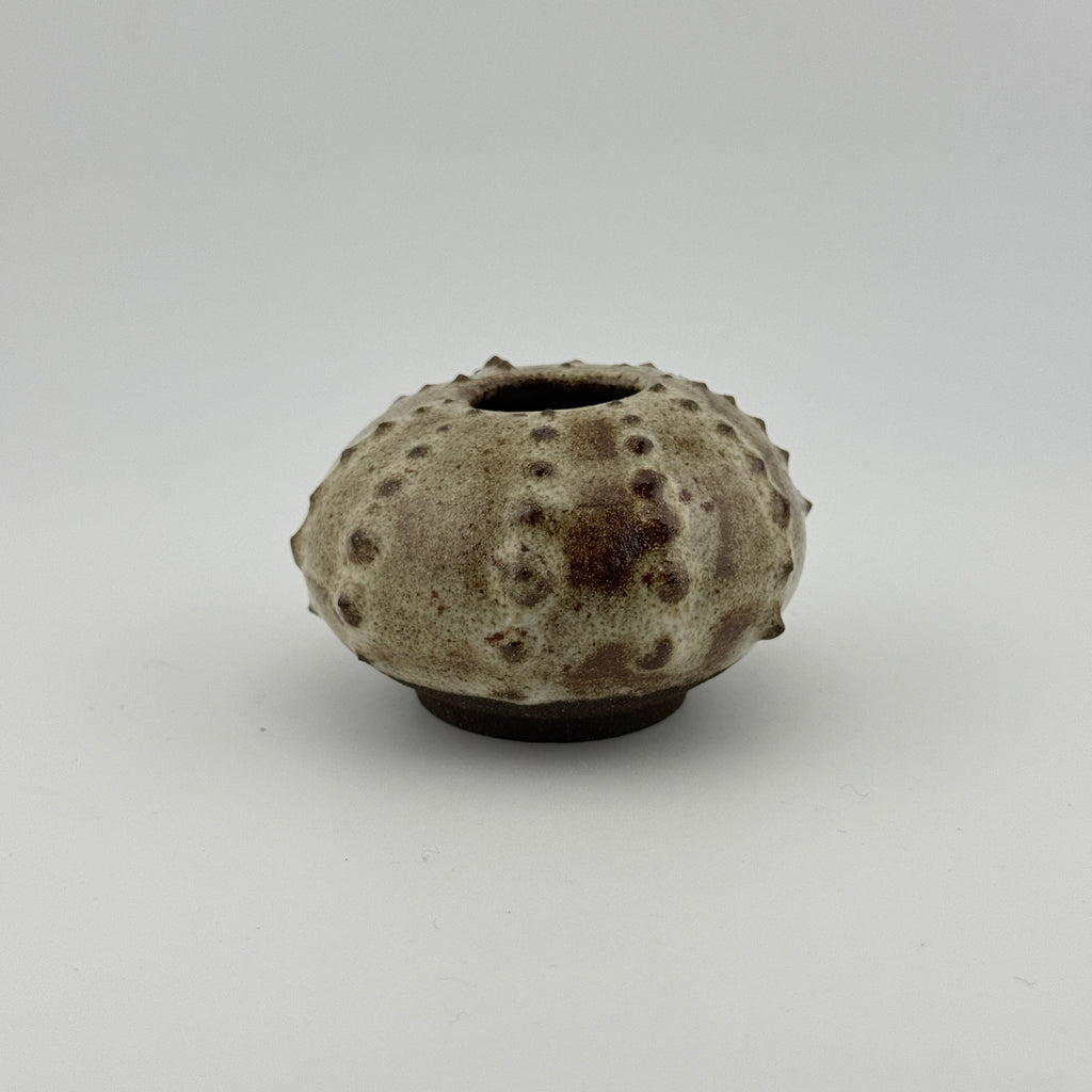 Oursin en grès noir African Stone – Émail blanc pyrité brillant