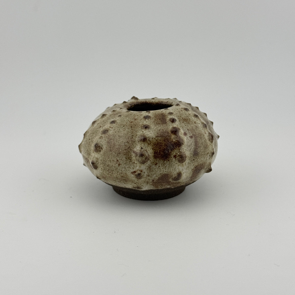 Oursin en grès noir African Stone – Émail blanc pyrité brillant