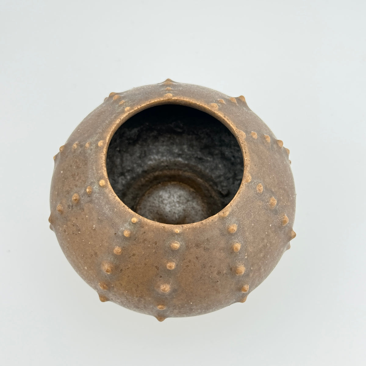 Oursin Céramique en Grès Hyène – Sculpture Artisanale Wabi-Sabi