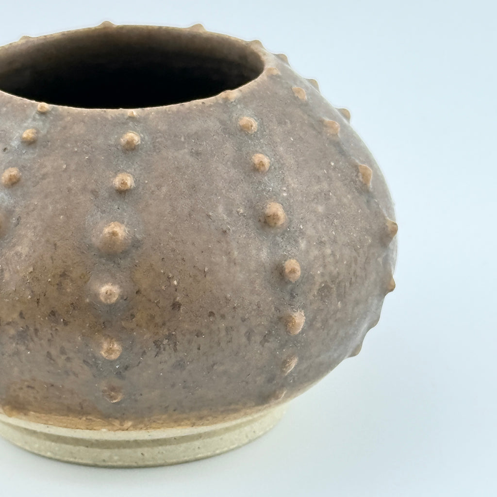 Oursin Céramique en Grès Hyène – Sculpture Artisanale Wabi-Sabi