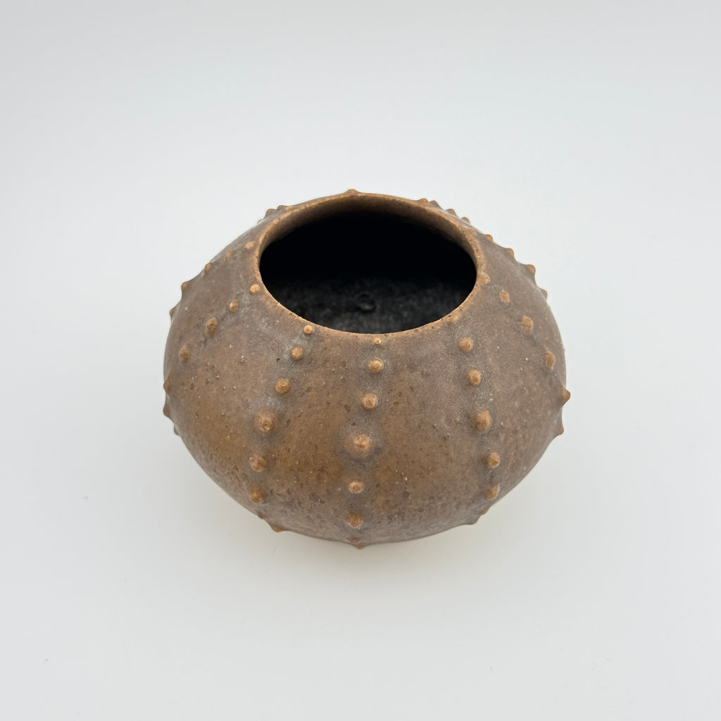 Oursin Céramique en Grès Hyène – Sculpture Artisanale Wabi-Sabi