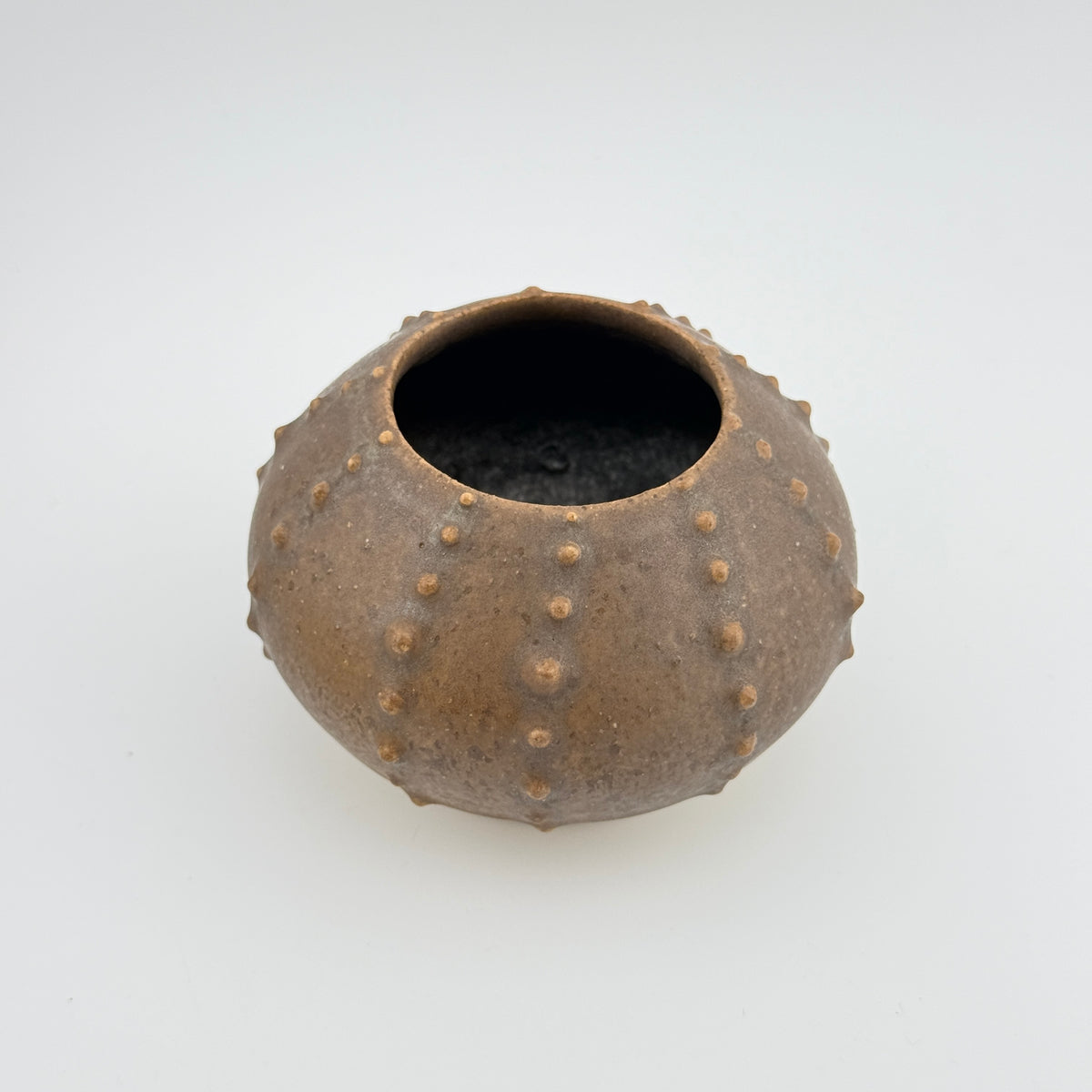 Oursin Céramique en Grès Hyène – Sculpture Artisanale Wabi-Sabi