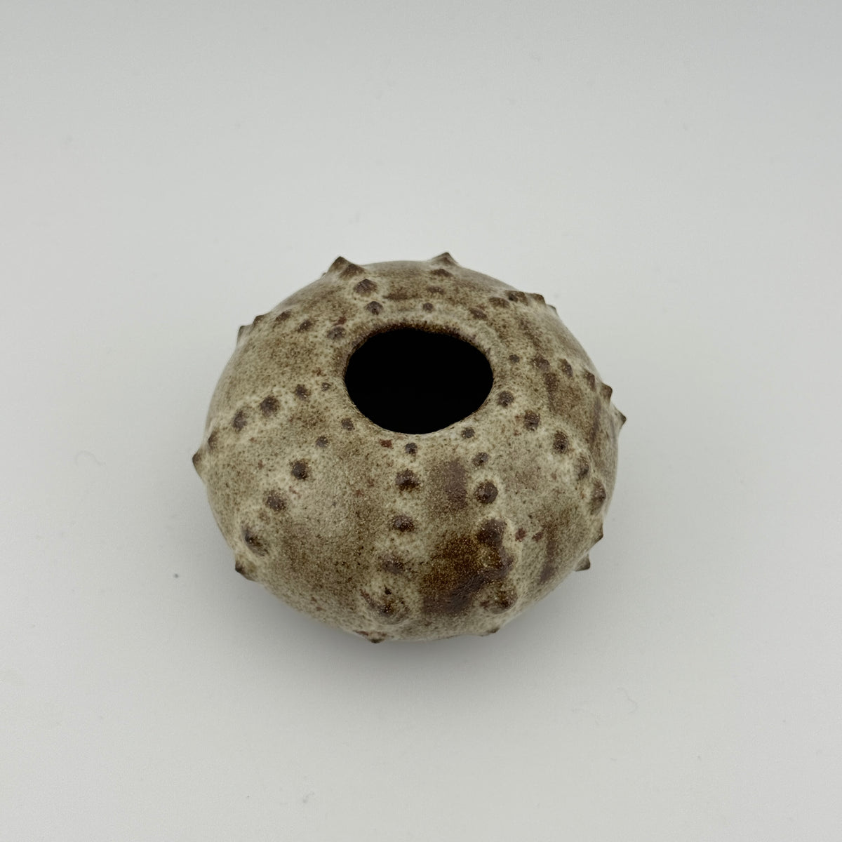 Oursin en grès noir African Stone – Émail blanc pyrité brillant