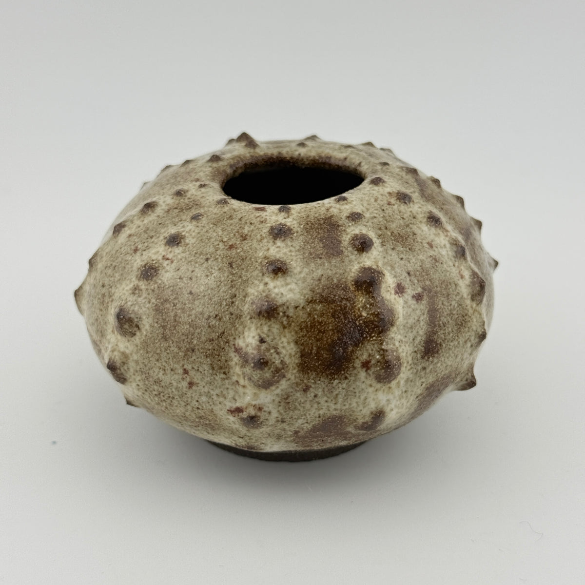 Oursin en grès noir African Stone – Émail blanc pyrité brillant