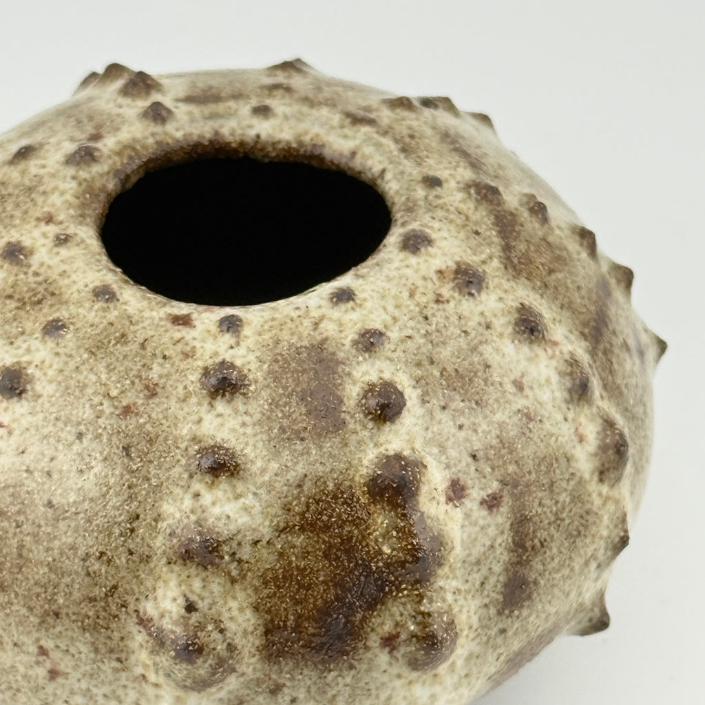 Oursin en grès noir African Stone – Émail blanc pyrité brillant
