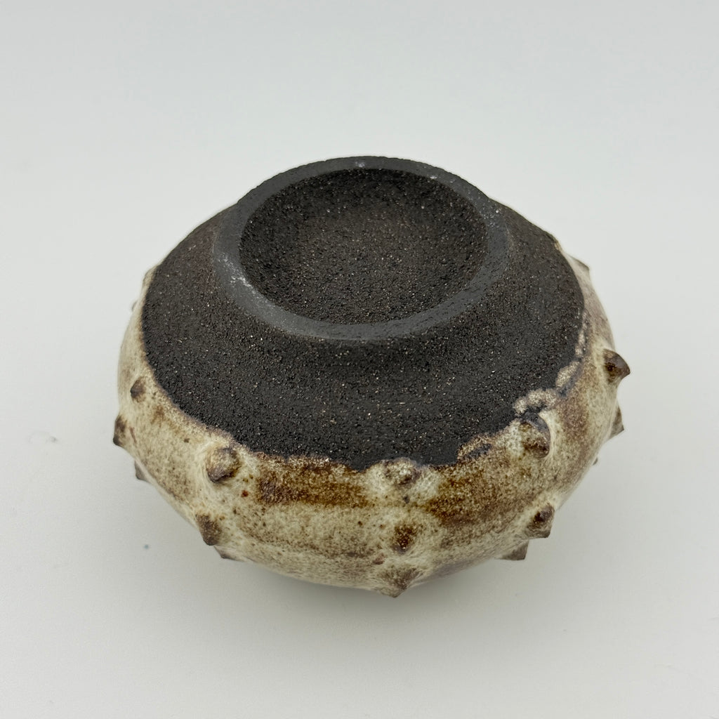 Oursin en grès noir African Stone – Émail blanc pyrité brillant
