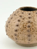 Détail de l'émail en macro de l'oursin rose pyrité en céramique de grès wabi-sabi fait main par Terresme vue de face sur fond blanc