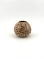 Oursin rose pyrité petit modèle en céramique de grès wabi-sabi fait main par Terresme vue de face sur fond blanc