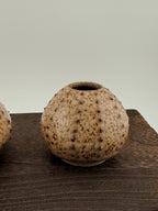 Oursin en céramique de grès wabi-sabi fait main par Terresme — fiche Etsy 1, vue 8 sur 10.