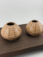 Oursin en céramique de grès wabi-sabi fait main par Terresme — fiche Etsy 1, vue 9 sur 10.